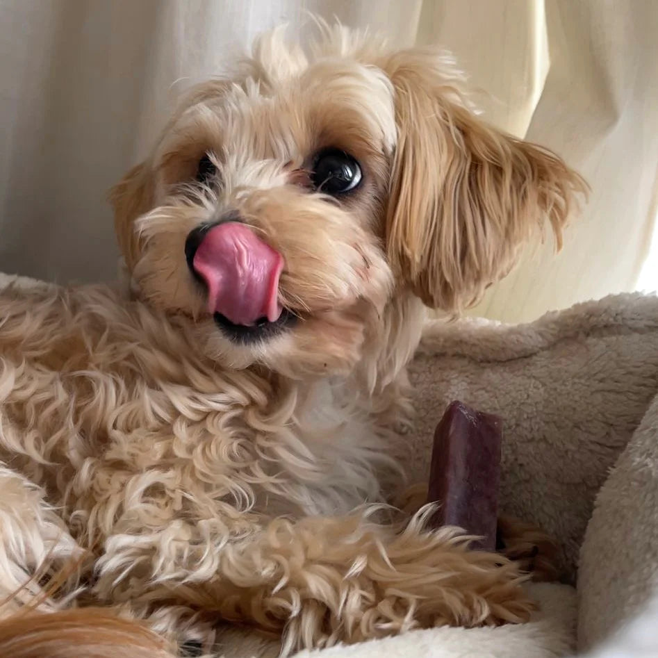 Blueberry Yak Dog Chew