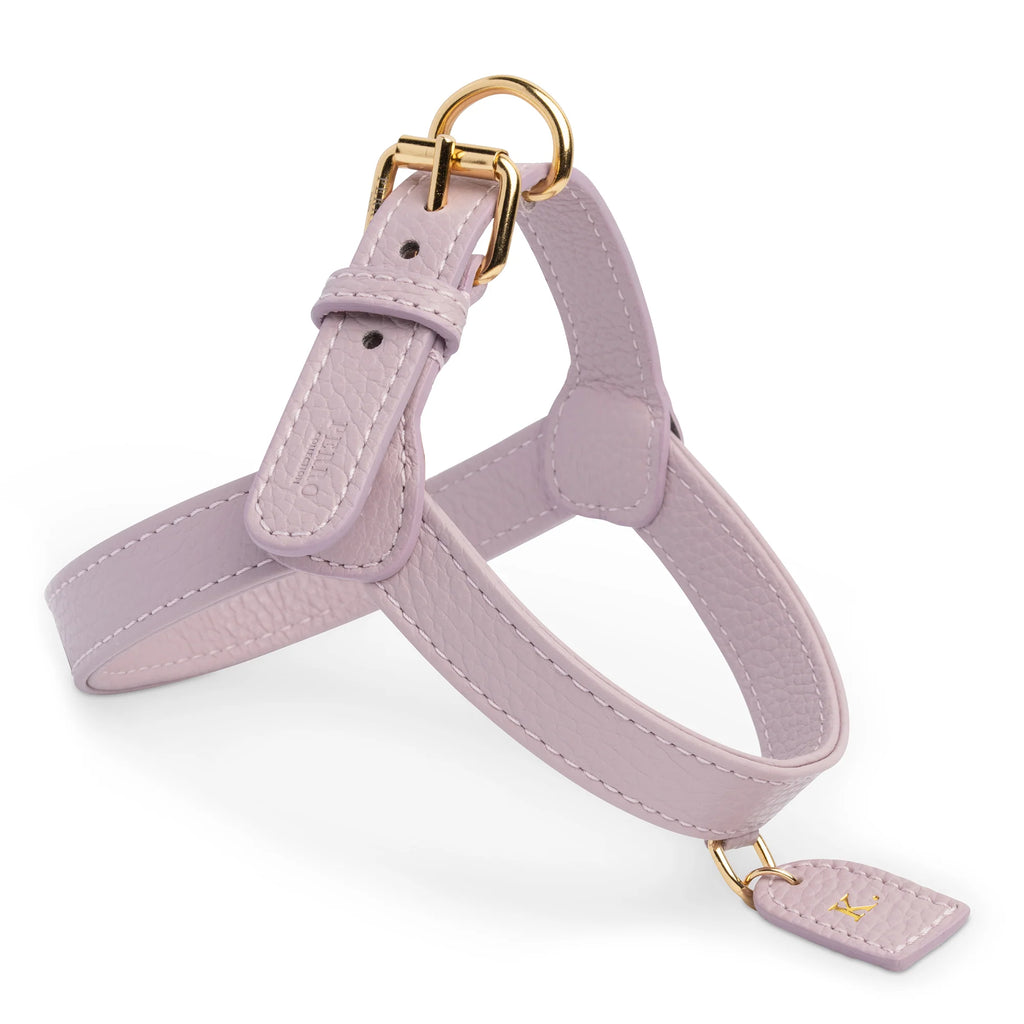 Dog Harnesses