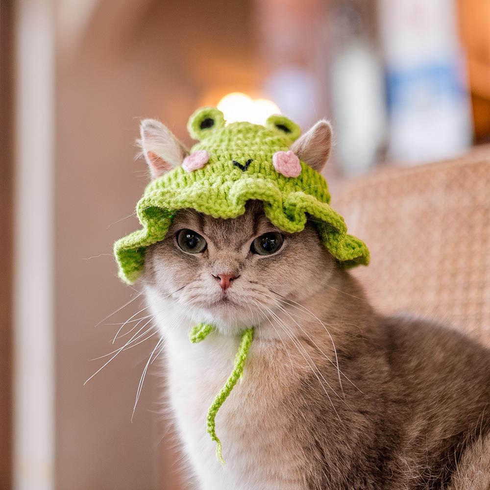 Cat accessories