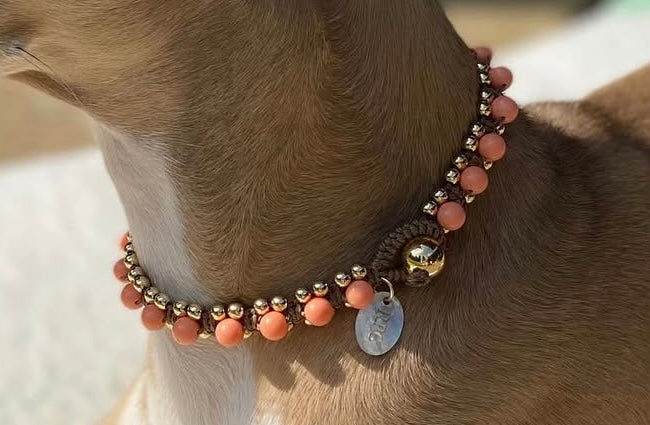Pet Jewellery