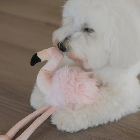 Flamingo Enrichment Dog Toy