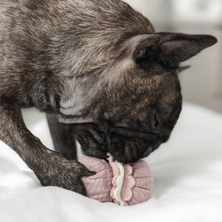 Petite Two Snuffle & Burrow Enrichment Dog Toy Set