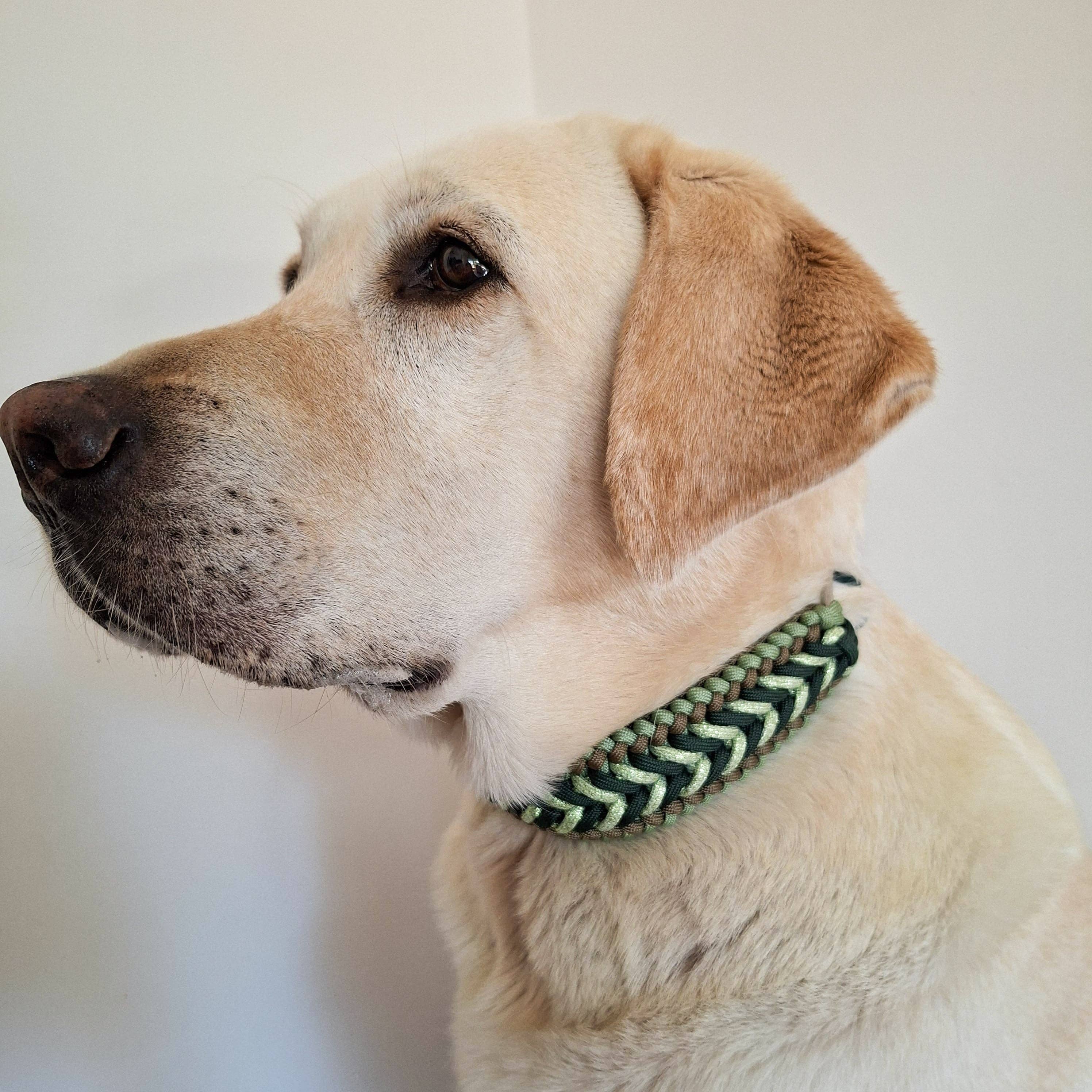 Green Braided Dog Collar - Biothane/Paracord