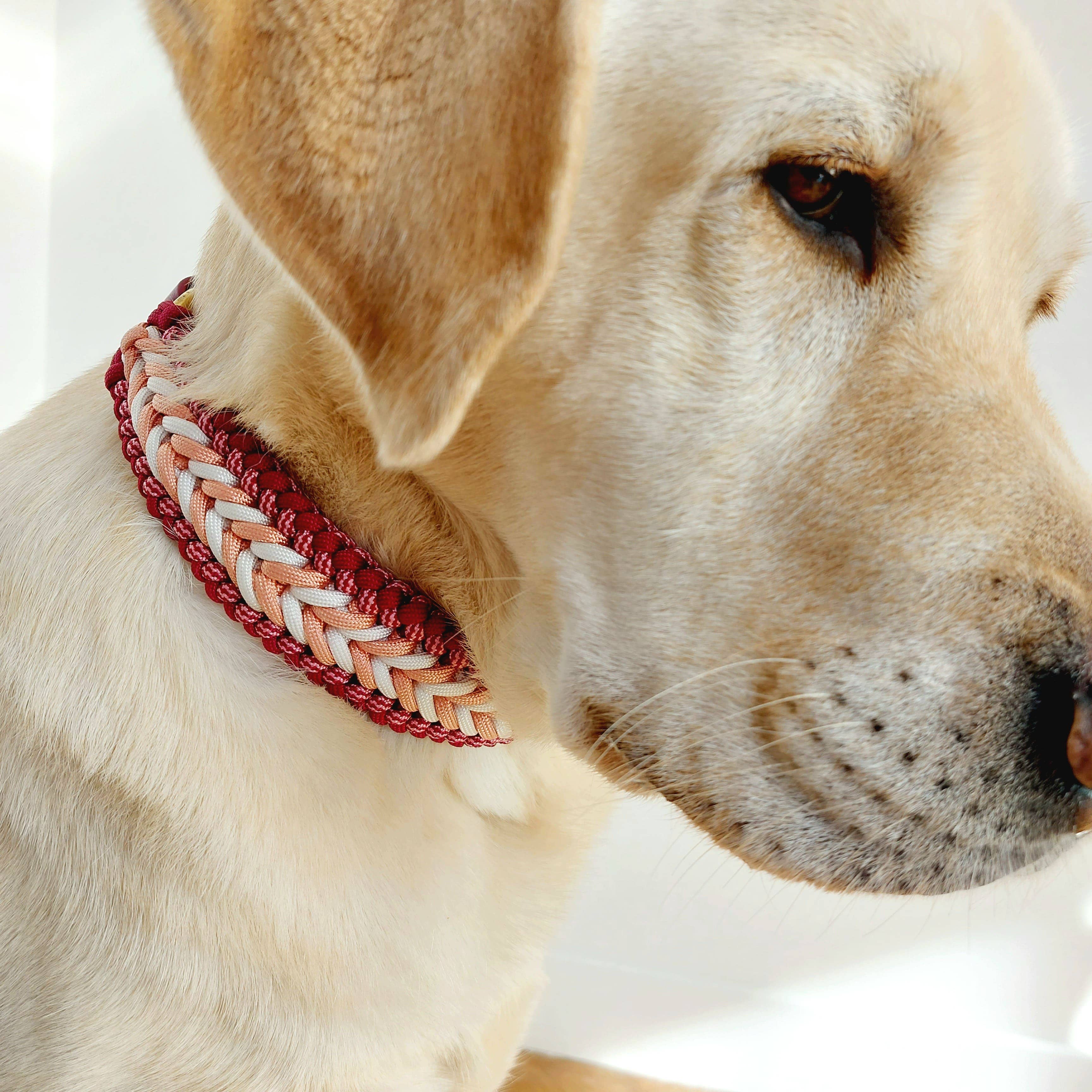 Raspberry Braided Dog Collar - Biothane/Paracord