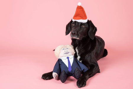 Boris Johnson Dog Toy