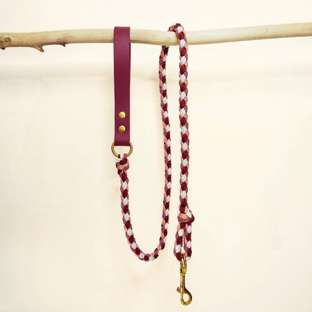 Raspberry Braided Dog Leash - Biothane/Paracord