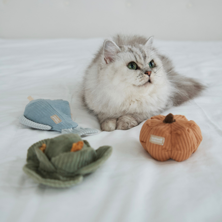 Kitty Veggie Catnip Cat Toy Set