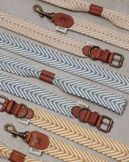 Dog Collar Portixol Sand (Summer Edition)