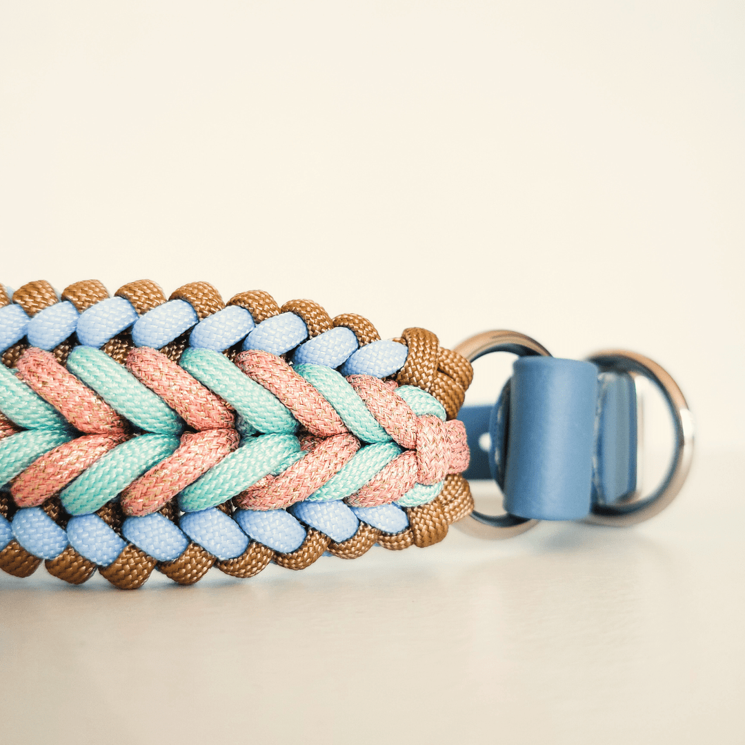 Sky Blue Braided Dog Collar - Biothane/Paracord