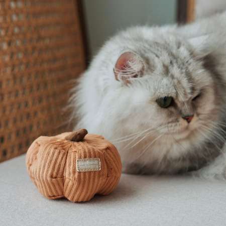 Kitty Veggie Catnip Cat Toy Set