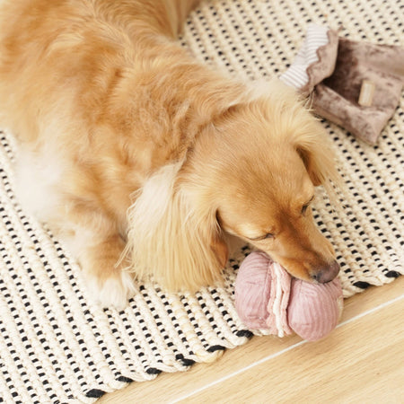 Petite Two Snuffle & Burrow Enrichment Dog Toy Set