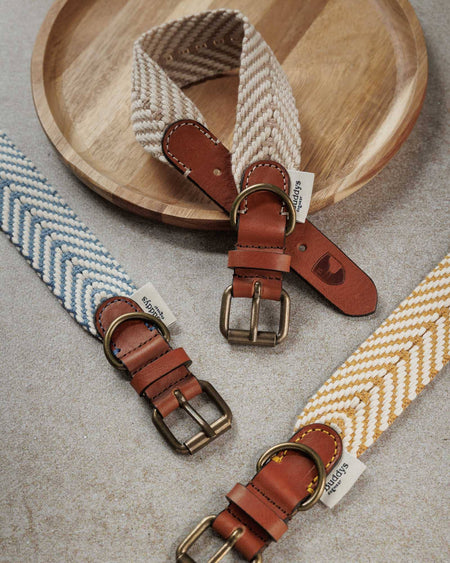 Dog Collar Portixol Sand (Summer Edition)