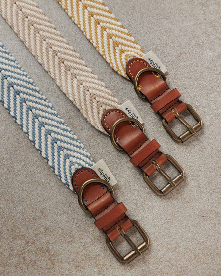 Dog Collar Portixol Sand (Summer Edition)