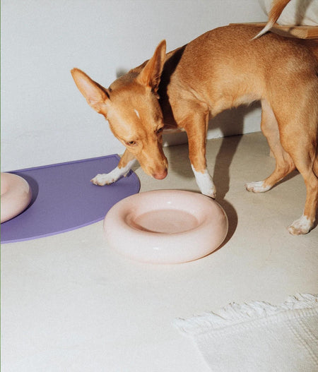 Ceramic Dog Feeder