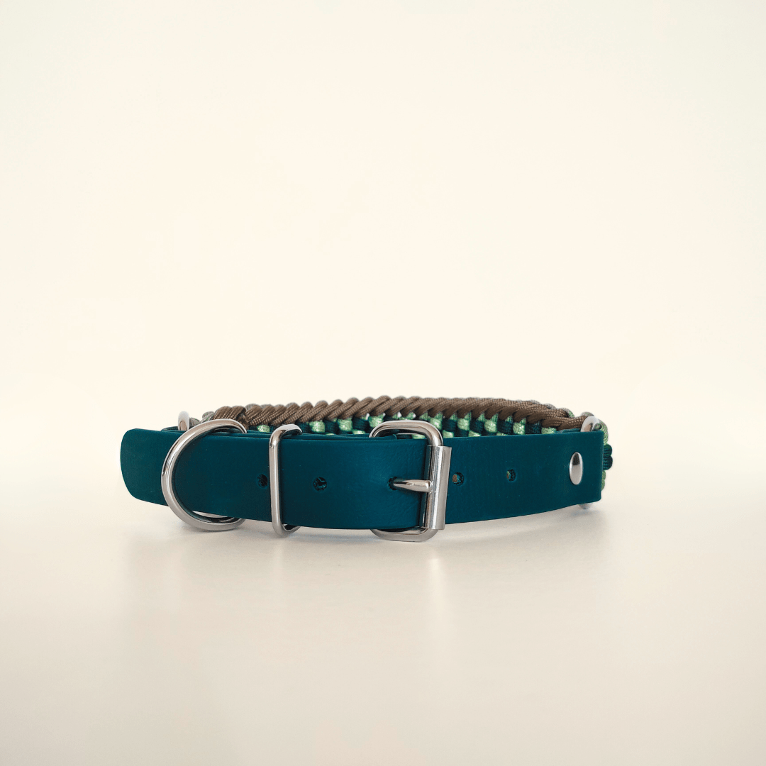 Green Braided Dog Collar - Biothane/Paracord