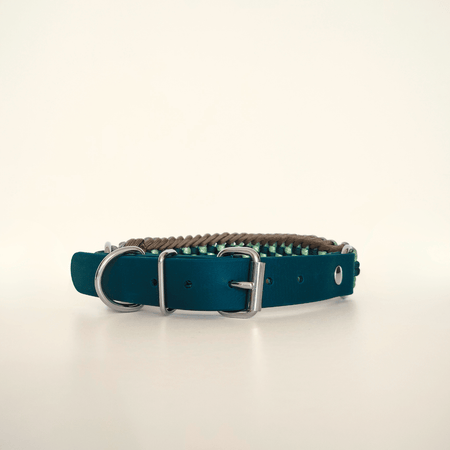 Green Braided Dog Collar - Biothane/Paracord