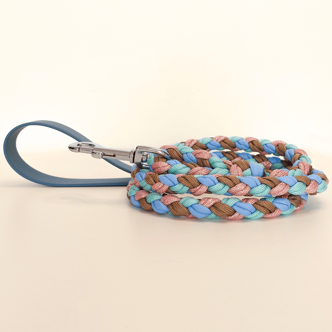 Sky Blue Braided Dog Leash - Biothane/Paracord