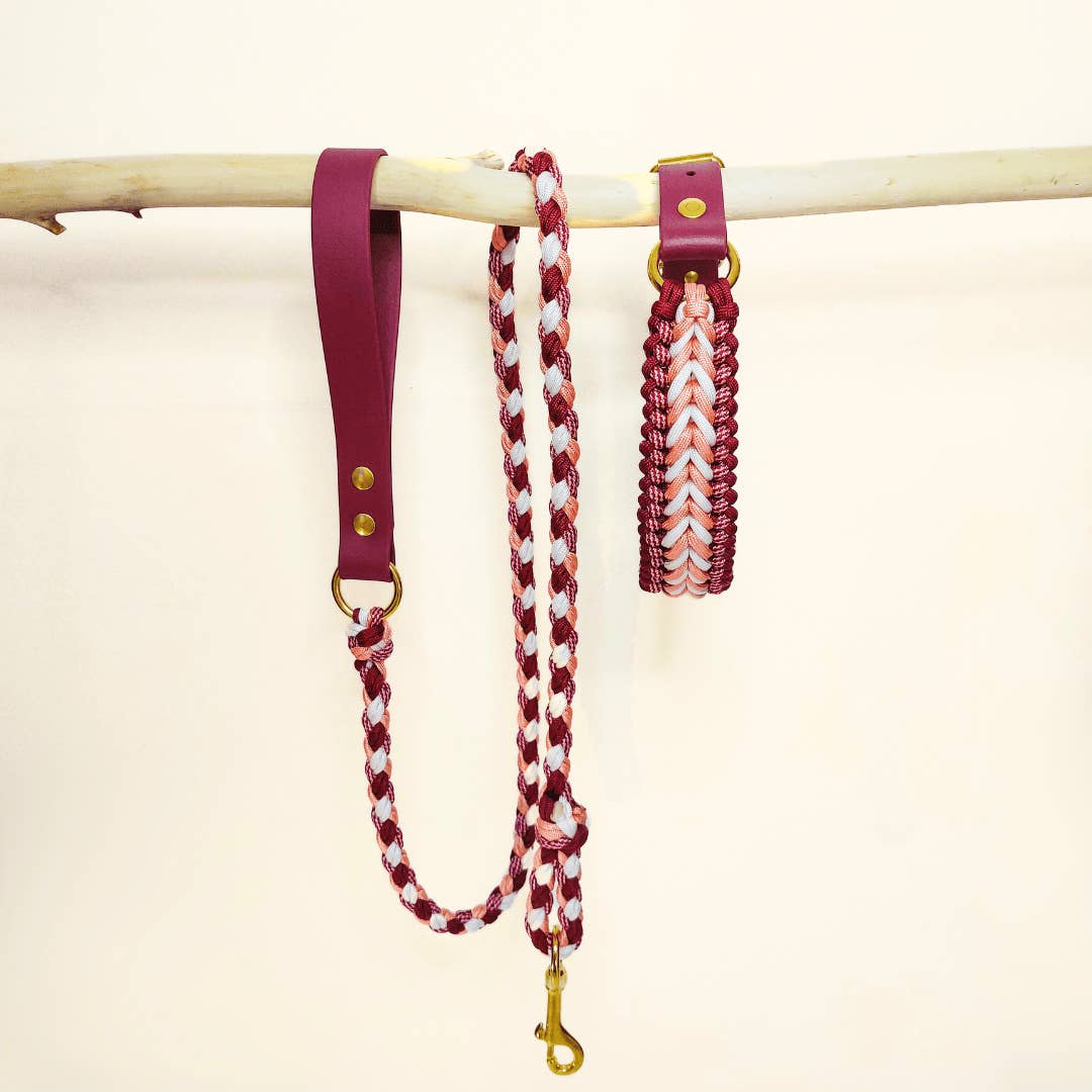 Raspberry Braided Dog Leash - Biothane/Paracord