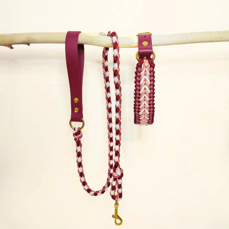 Raspberry Braided Dog Leash - Biothane/Paracord