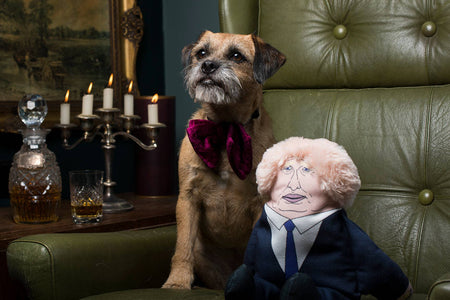 Boris Johnson Dog Toy
