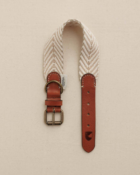 Dog Collar Portixol Sand (Summer Edition)