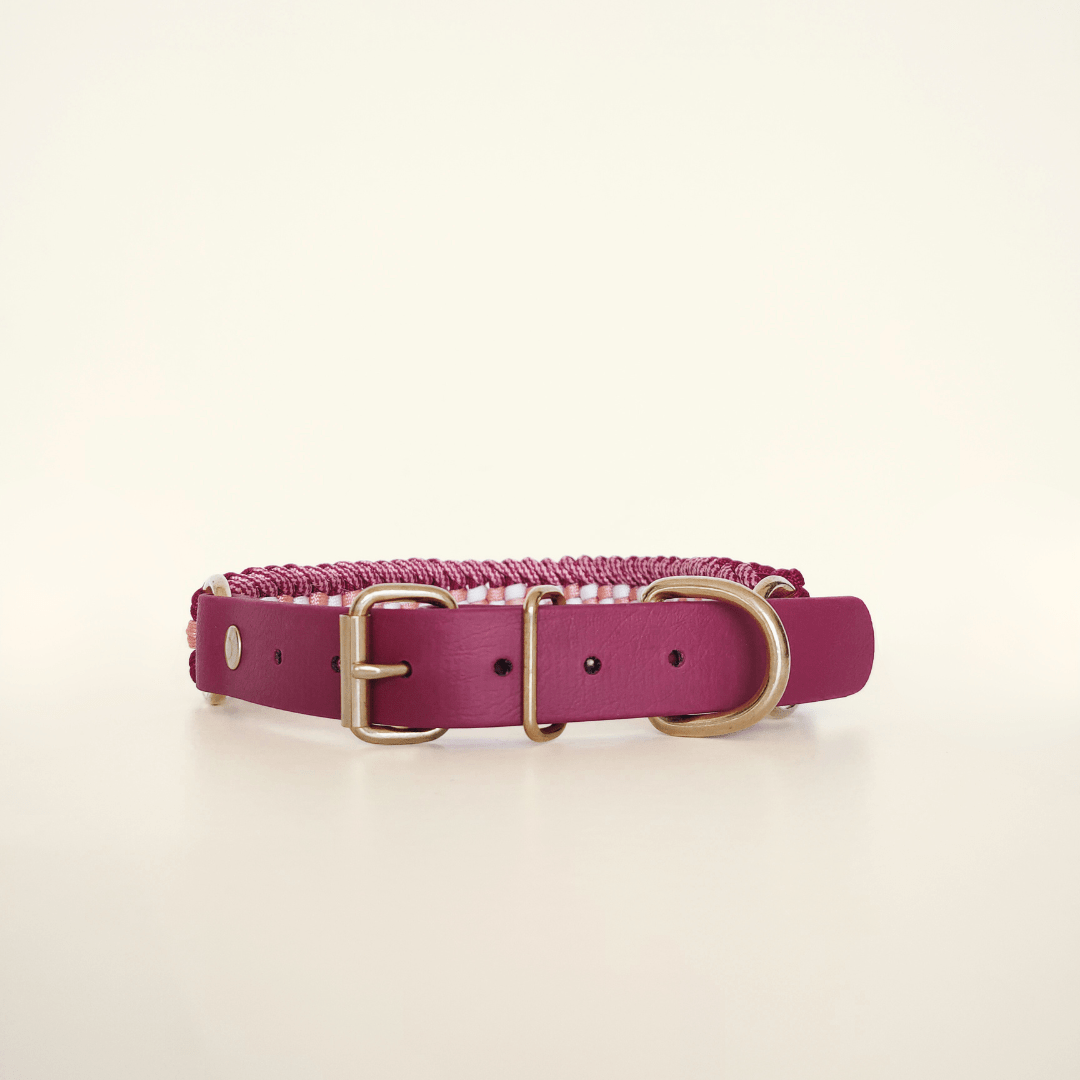 Raspberry Braided Dog Collar - Biothane/Paracord