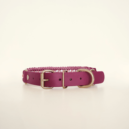 Raspberry Braided Dog Collar - Biothane/Paracord