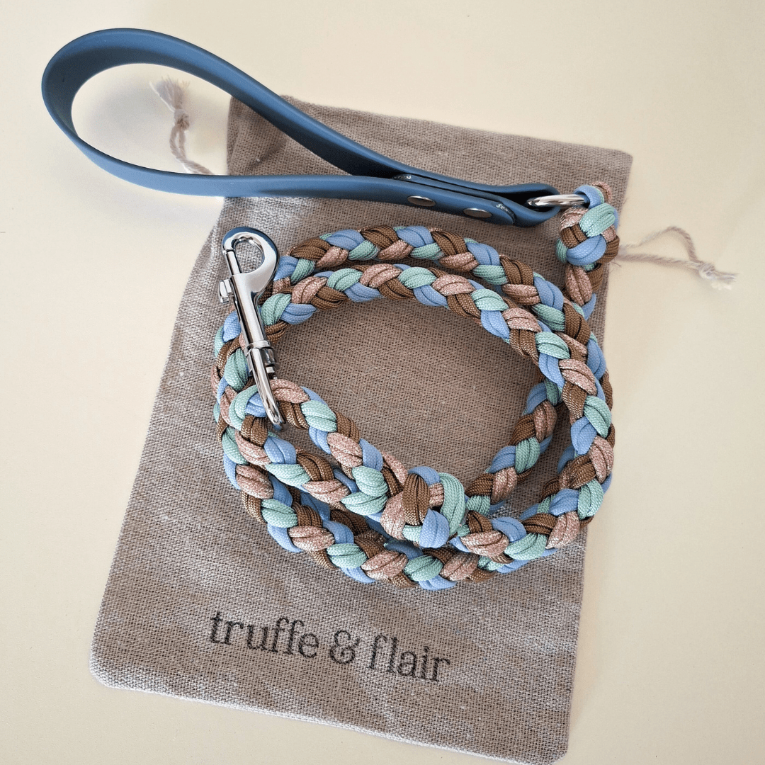 Sky Blue Braided Dog Leash - Biothane/Paracord