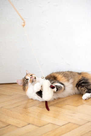Natural Sheepskin Cat Toy Mouse String