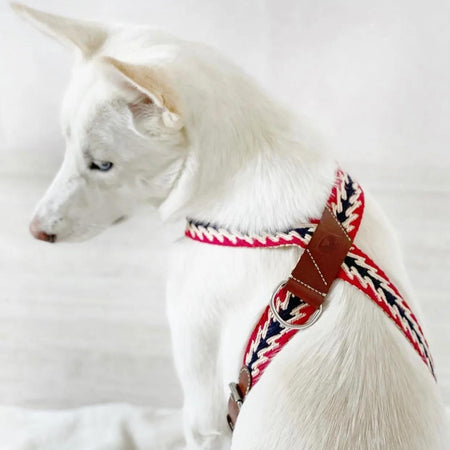 Peruvian Arrow Red Harness
