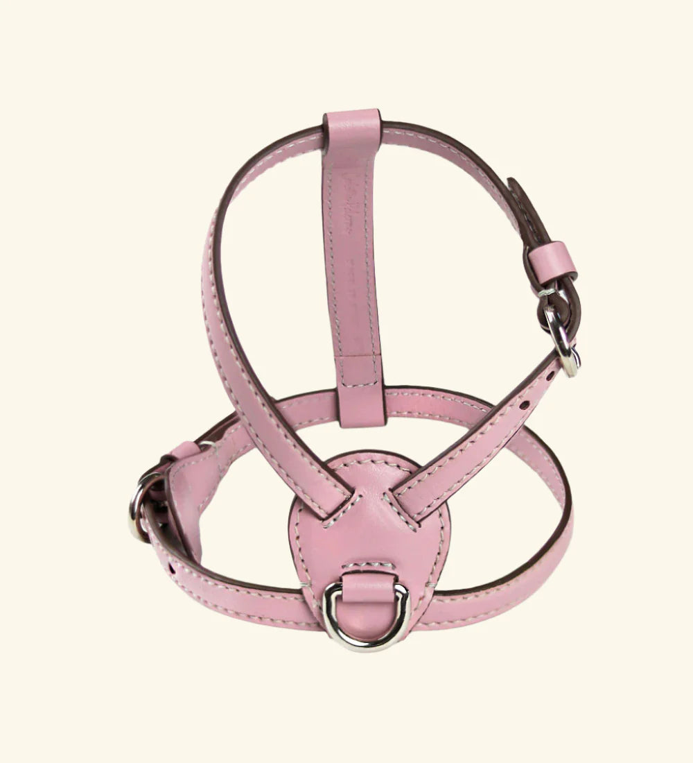 Opale Harness