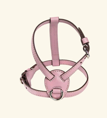 Opale Harness