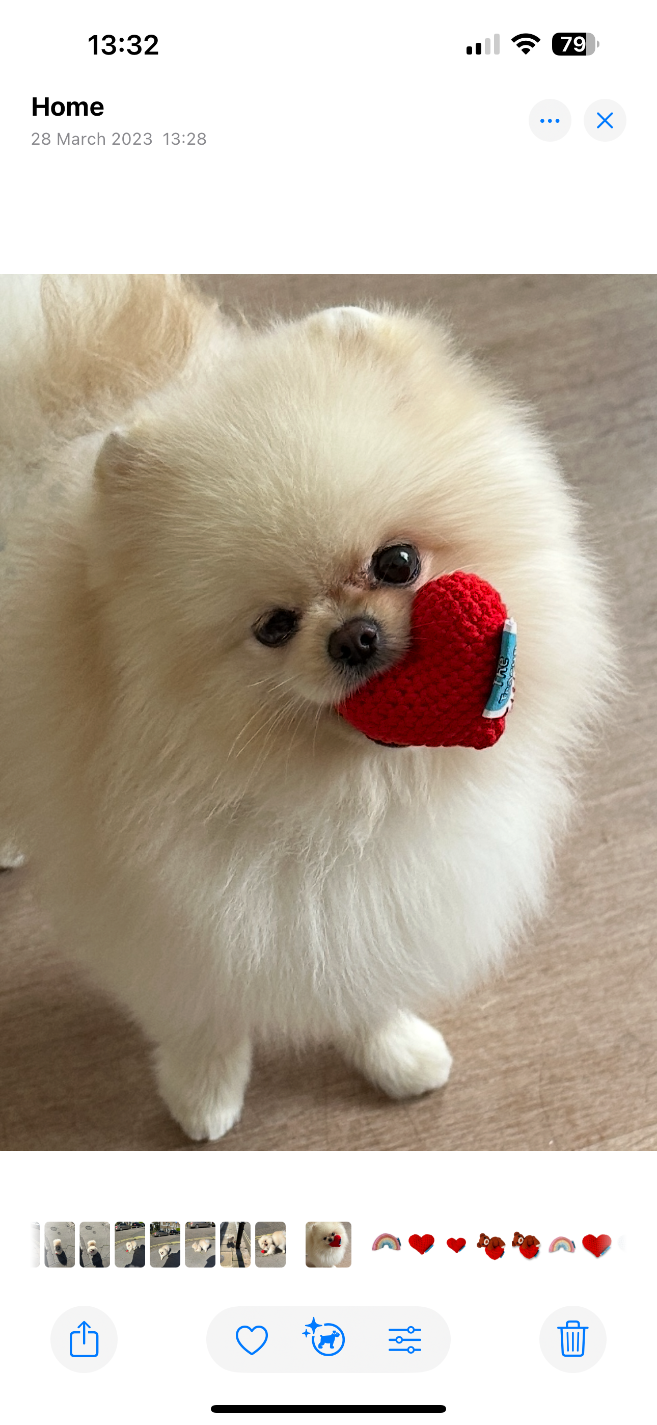 Red Heart Crochet Toy