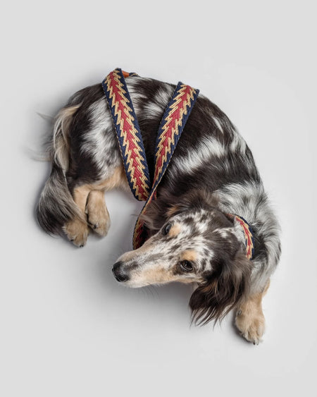 Peruvian Arrow Blue Leash