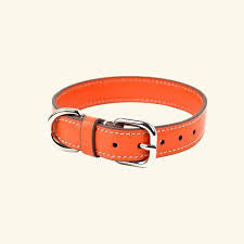 Orange Leather Collar
