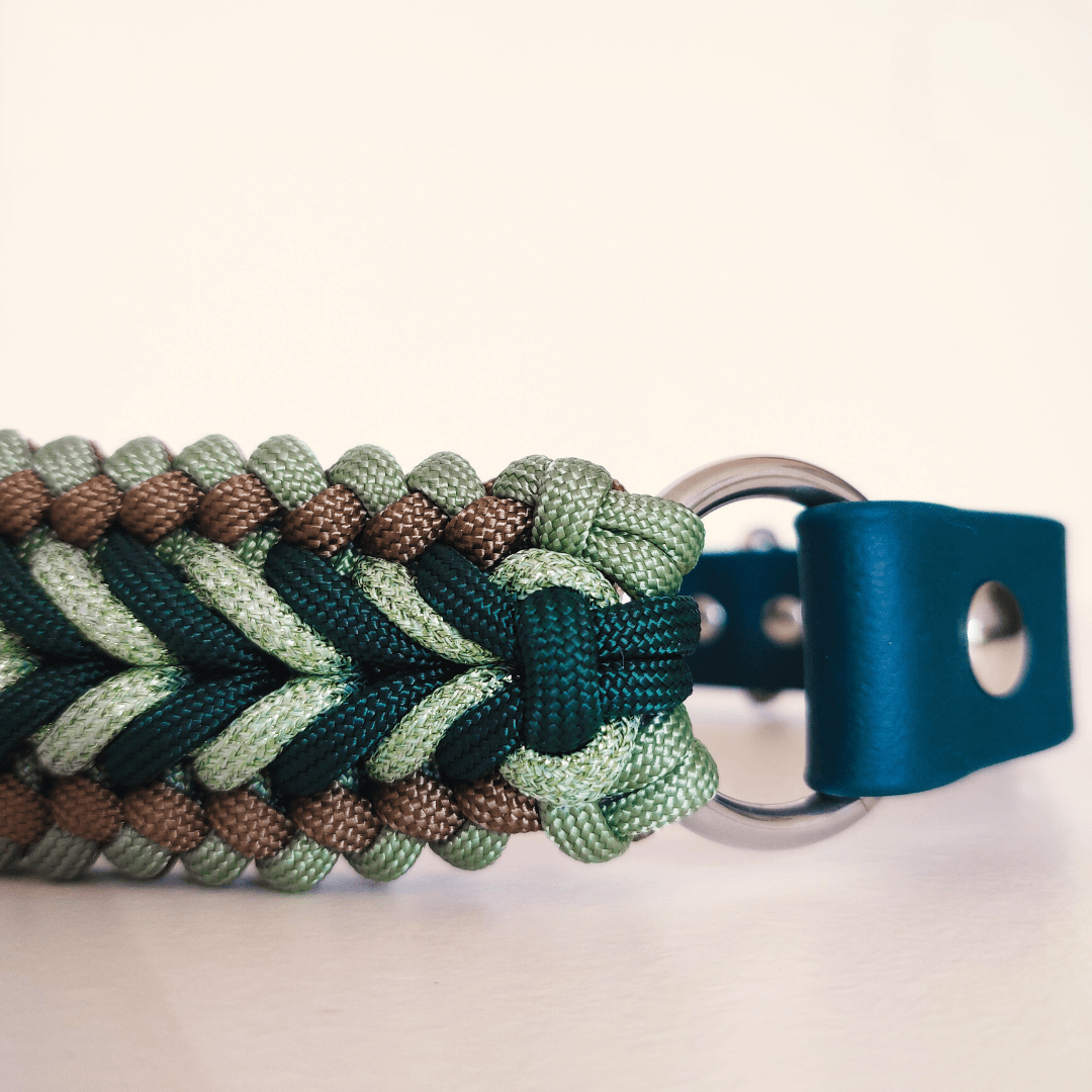 Green Braided Dog Collar - Biothane/Paracord