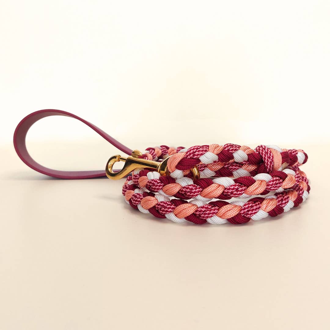 Raspberry Braided Dog Leash - Biothane/Paracord