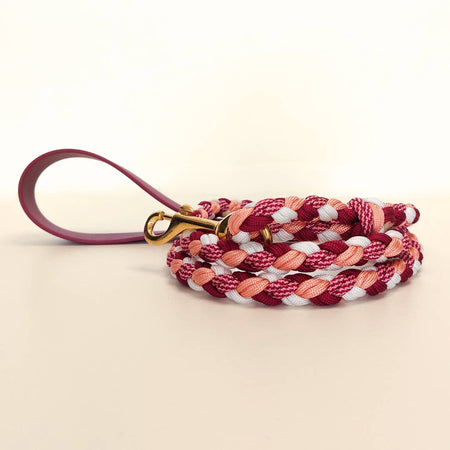 Raspberry Braided Dog Leash - Biothane/Paracord