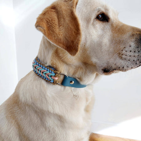 Sky Blue Braided Dog Collar - Biothane/Paracord
