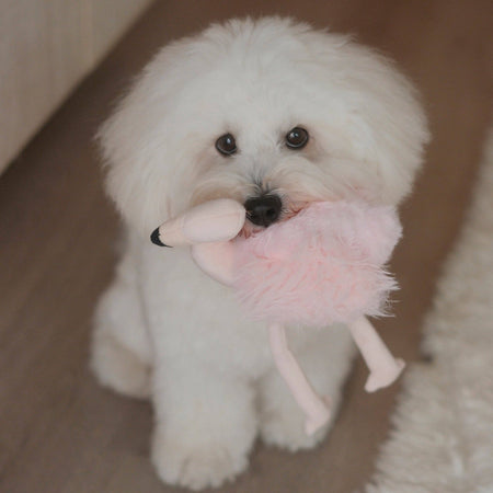 Flamingo Enrichment Dog Toy