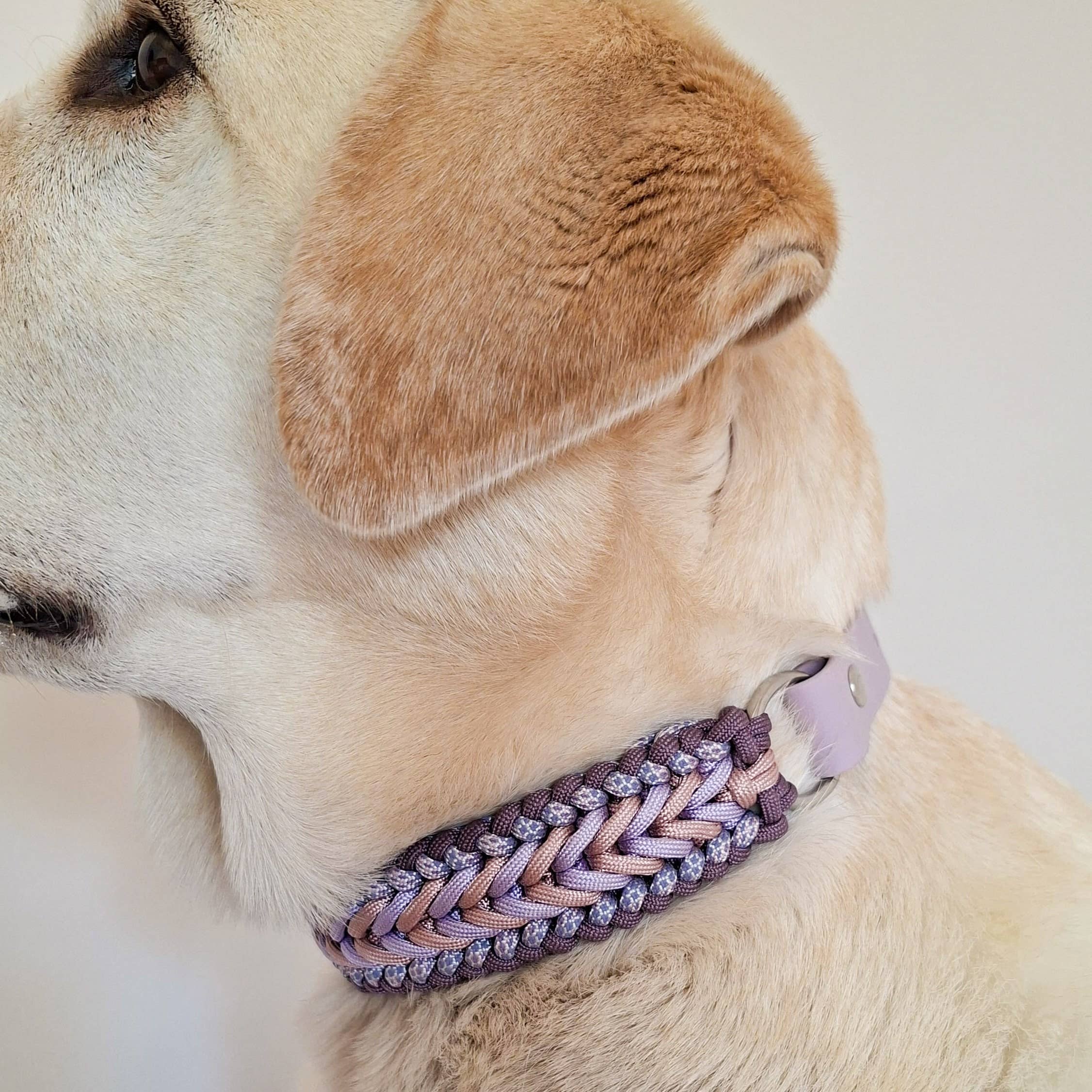 Lilac Braided Dog Collar - Biothane/Paracord