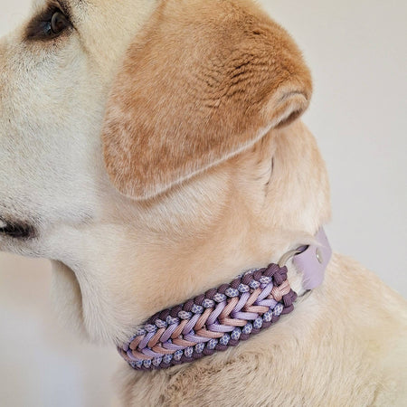 Lilac Braided Dog Collar - Biothane/Paracord