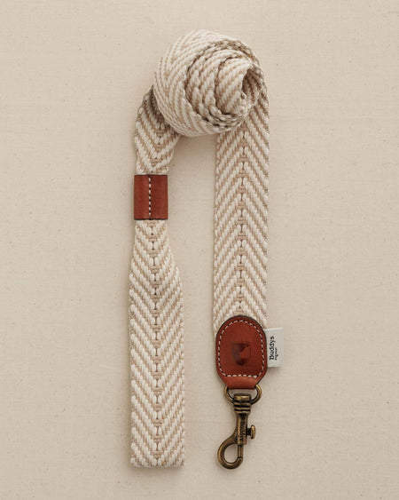 Dog Collar Portixol Sand (Summer Edition)