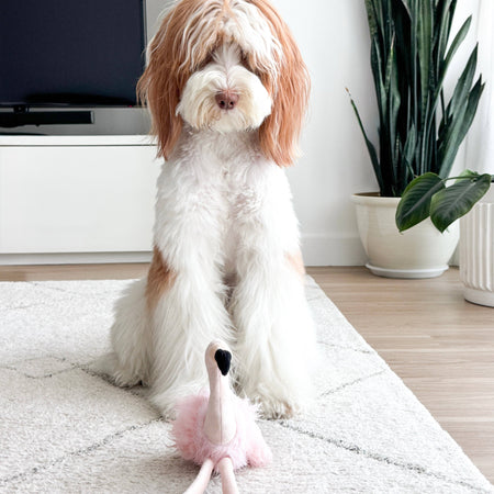 Flamingo Enrichment Dog Toy