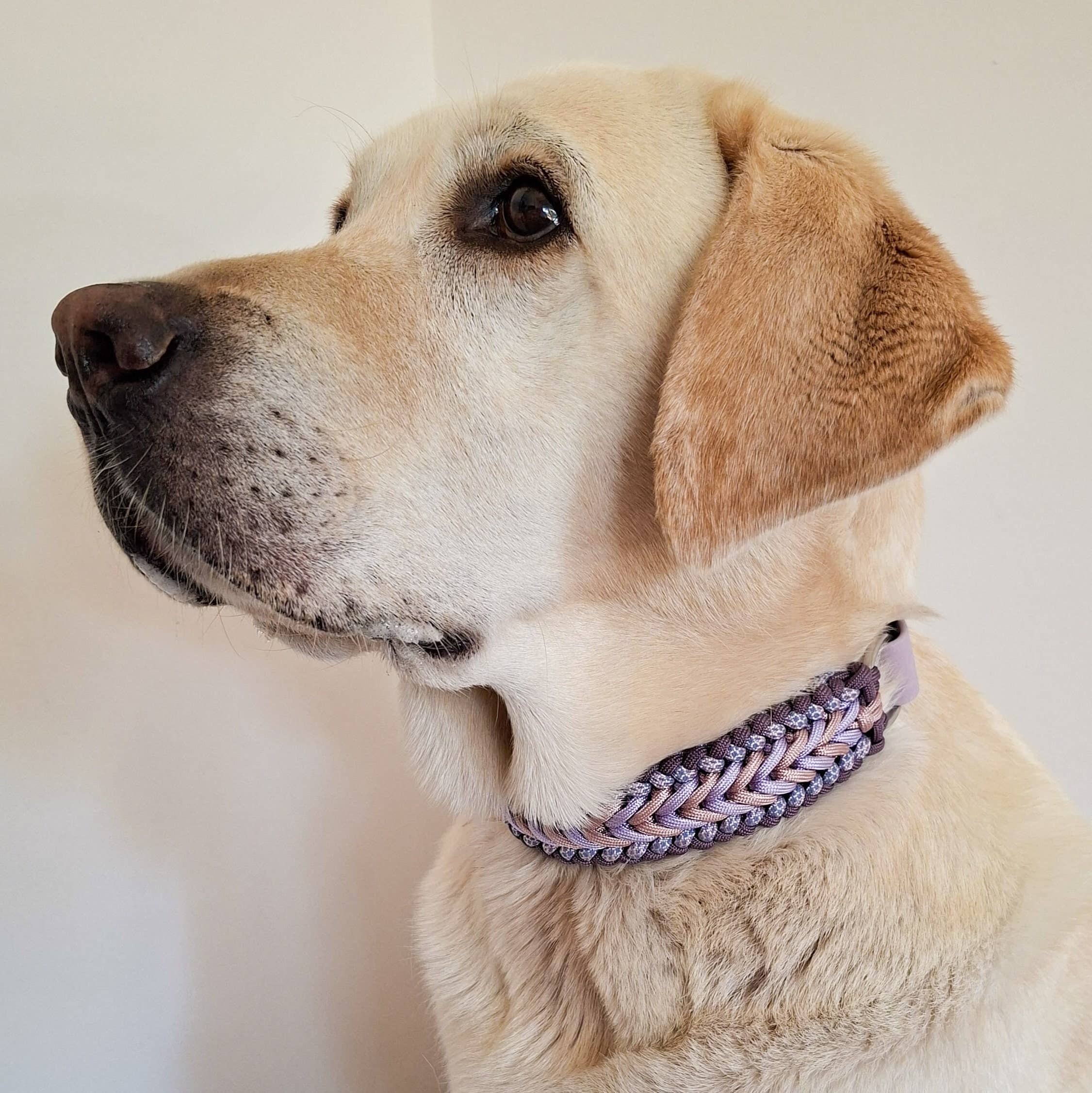 Lilac Braided Dog Collar - Biothane/Paracord
