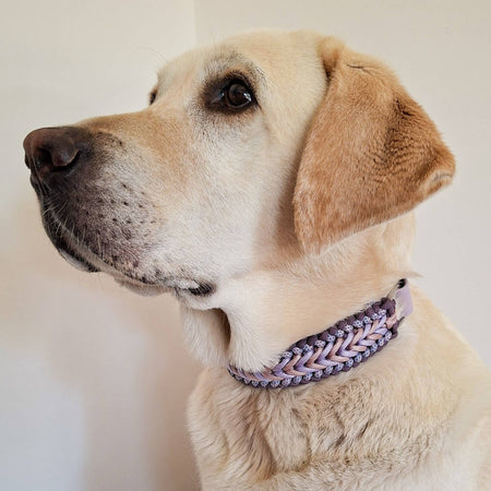 Lilac Braided Dog Collar - Biothane/Paracord