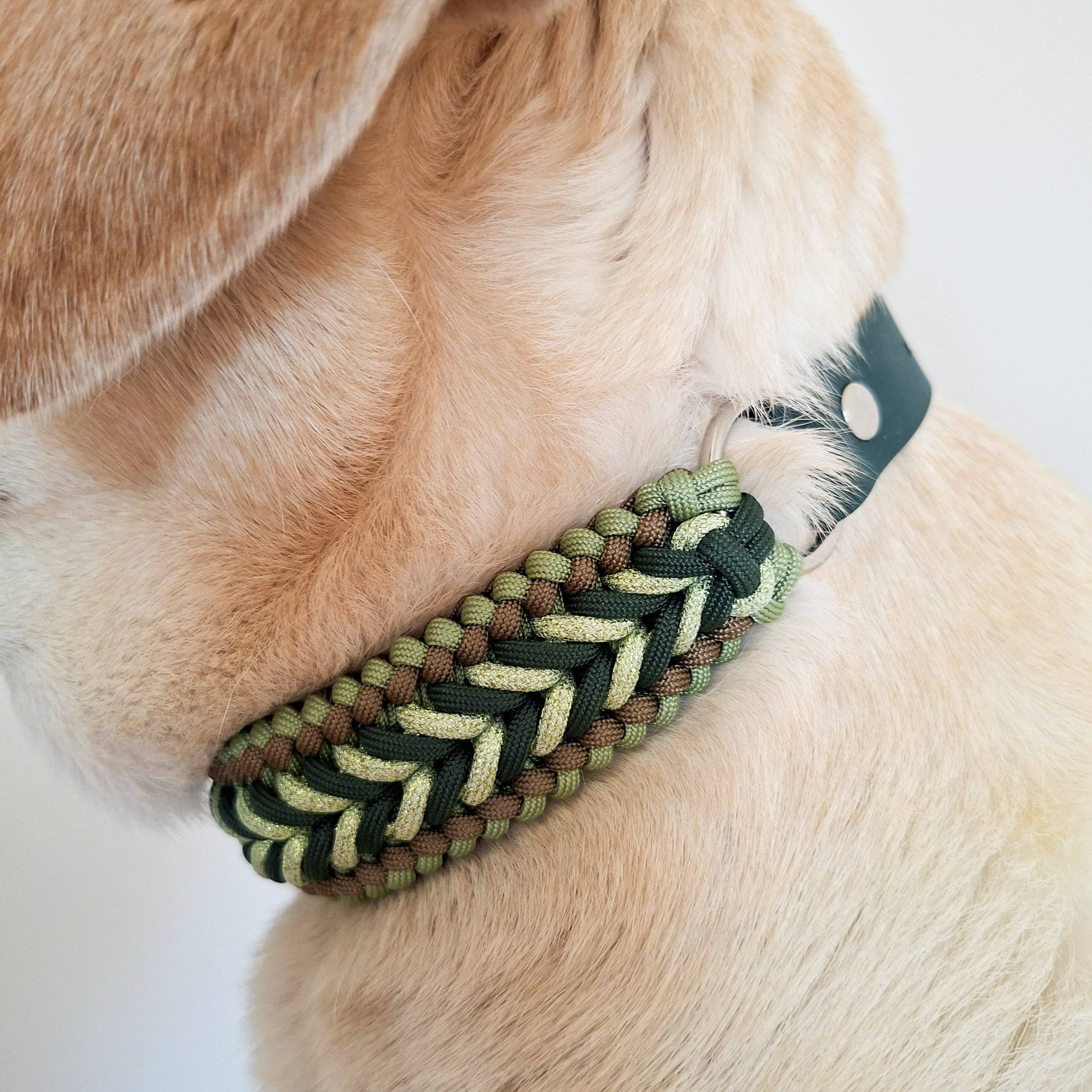 Green Braided Dog Collar - Biothane/Paracord
