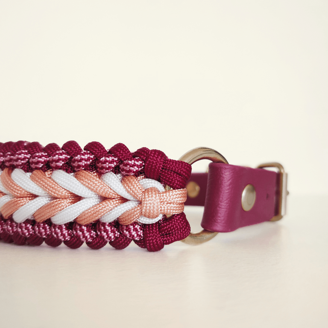Raspberry Braided Dog Collar - Biothane/Paracord