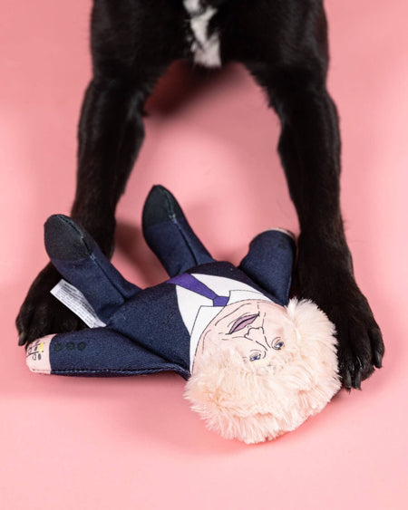 Boris Johnson Dog Toy