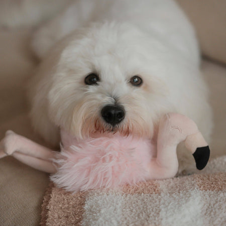 Flamingo Enrichment Dog Toy